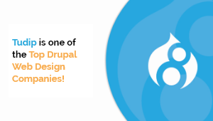 drupal-web-design-companies