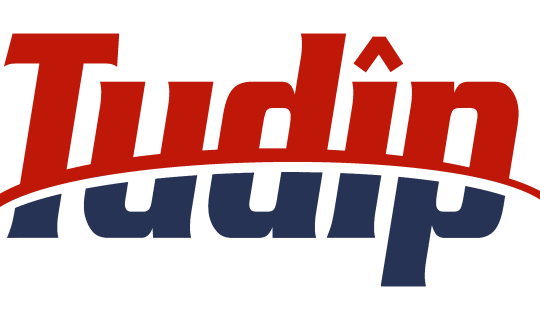 Tudip-Logo_USE_deep_blue_red-540x320-min 