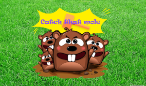 Catch that Mole