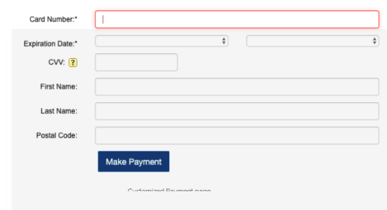 How_to_integrate_OpenEdge_Payment_in_a_dotNet_project_06 