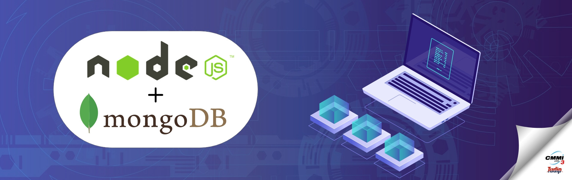 The best way to Integrate the Node JS Application with MongoDB