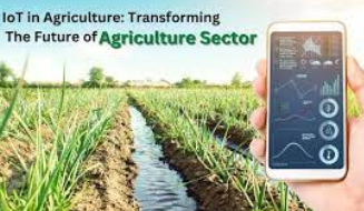 revolutionizing-agriculture-through-iot-02 