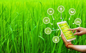 aI-enabled-precision-agriculture-02-300x187 