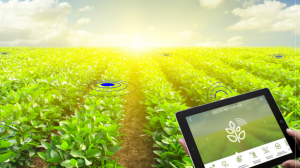 aI-enabled-precision-agriculture-06-300x168 