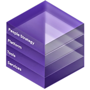 Solvecube Image