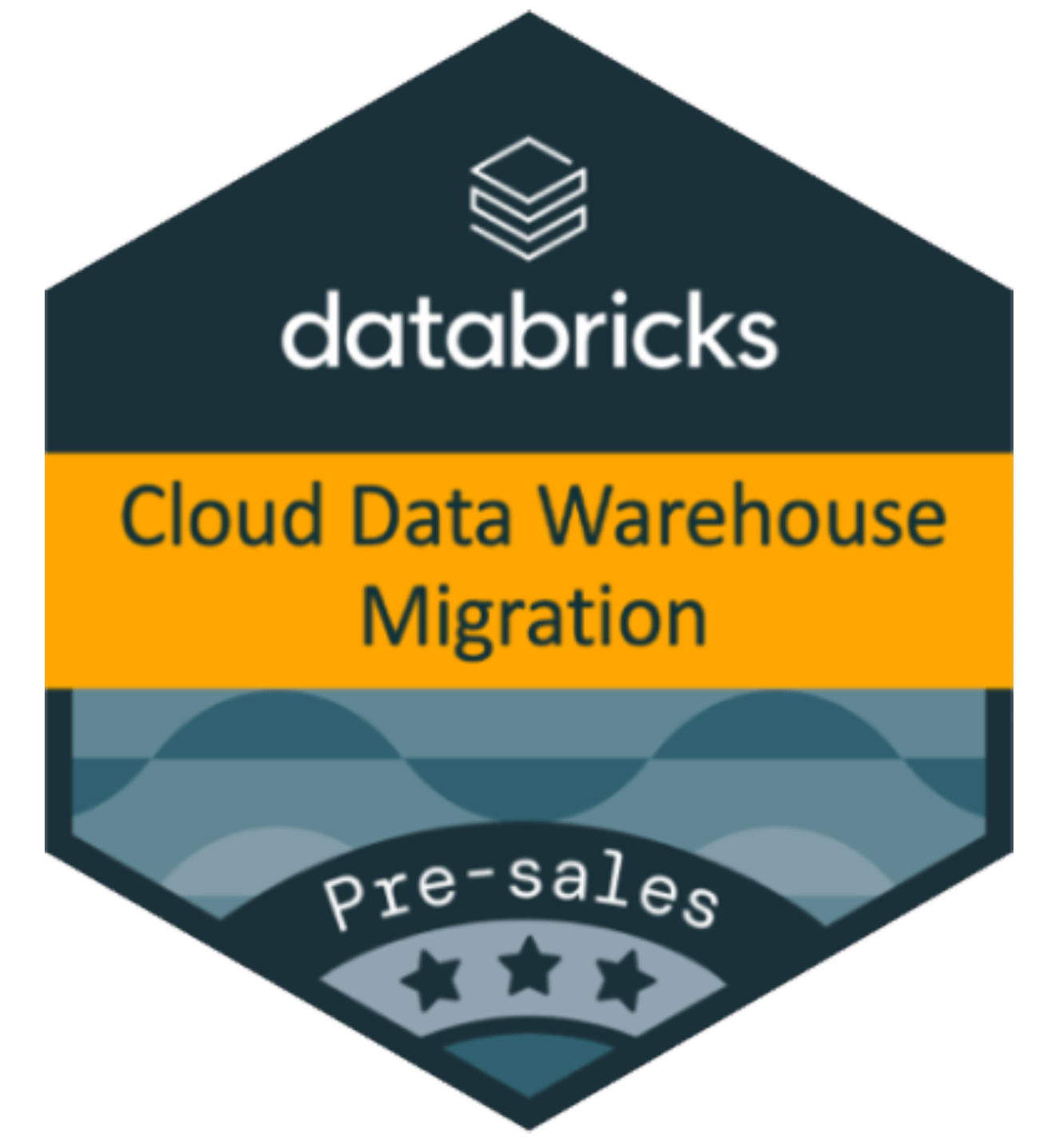Databricks - Cloud Data Warehouse Migration